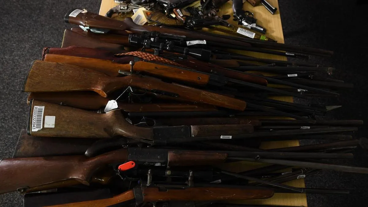 Gun licenses limited to citizens in firearms overhaul