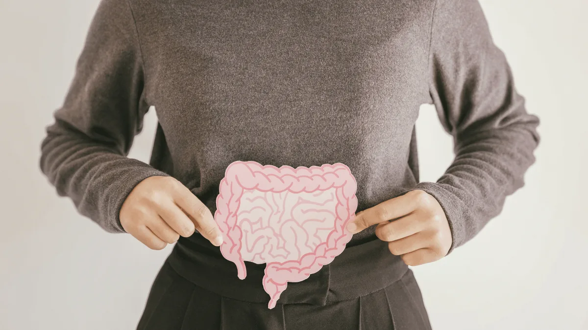Conexão intestino-cérebro: como sono, emoções e rotina podem influenciar na inflamação intestinal, segundo estudo da USP