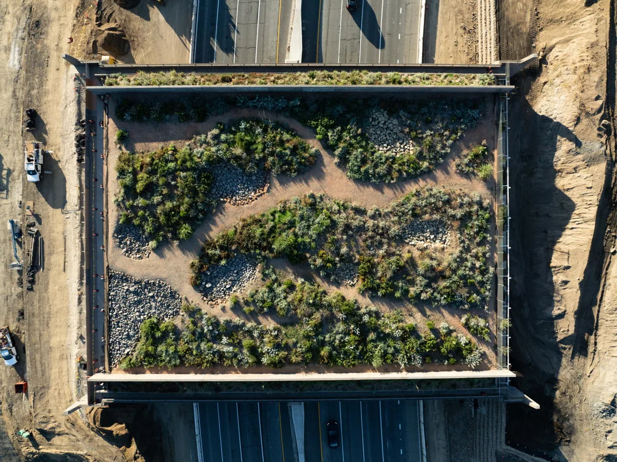 World's largest wildlife crossing is on track to open this winter — unless El Niño intervenes