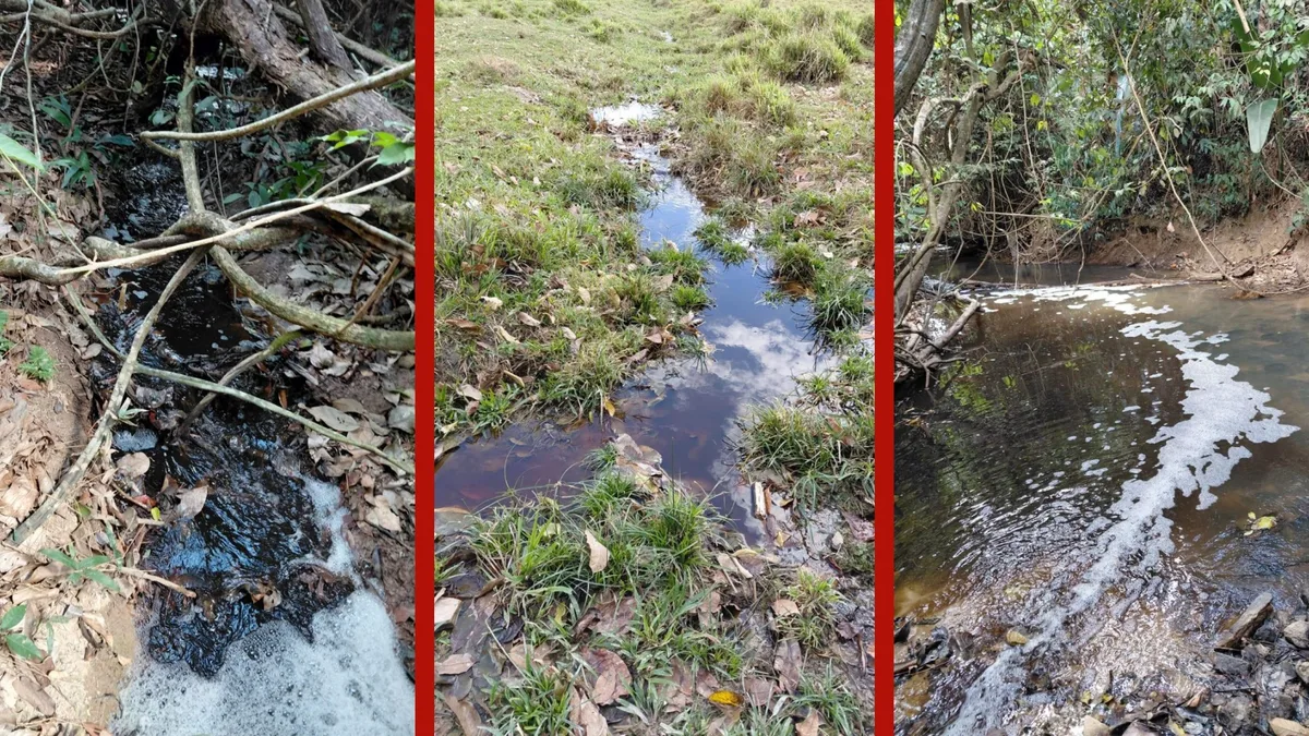 MP cobra R$ 1 milhão de frigorífico após novos despejos de resíduos em rio de MT
