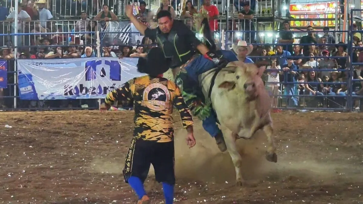 ExpoQuinari tem programação especial com rodeio, motocross e shows