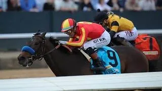 Explora enfrenta a cinco rivales en el Dogwood Stakes (G3) en el "Downs After Dark"