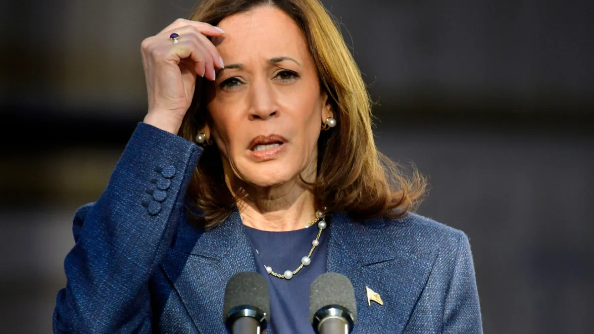 Kamala Harris volvió a la campaña electoral mientras evalúa una candidatura presidencial en 2028