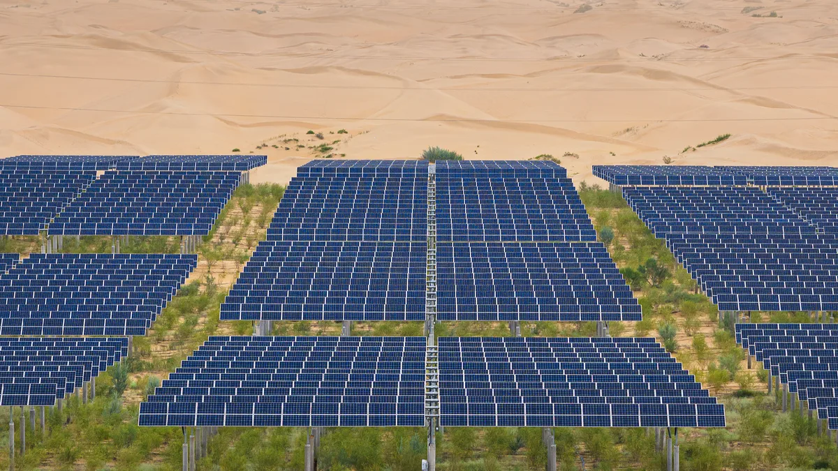 UN official hails China's land restoration efforts