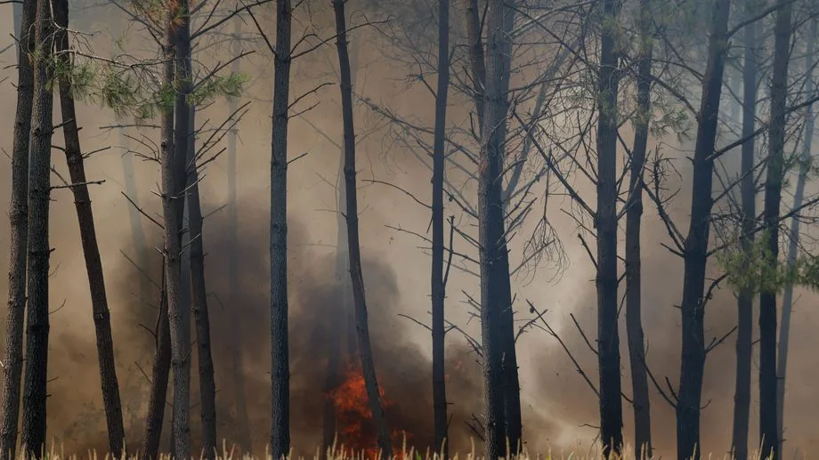 Feux de forêt : quatre départements placés vendredi en risque "très élevé", 57 en risque "élevé"