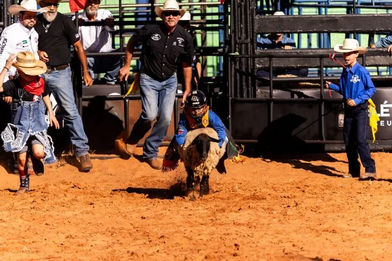 Aos 7 anos, Pedro Luiz vence primeira eliminatória da montaria em carneiros