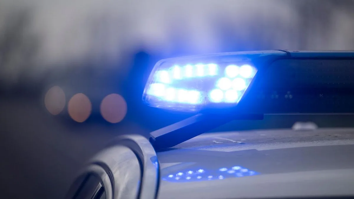 Hund auf der Autobahn: Hund bremst Verkehr auf A8 aus - Hubschrauber im Einsatz