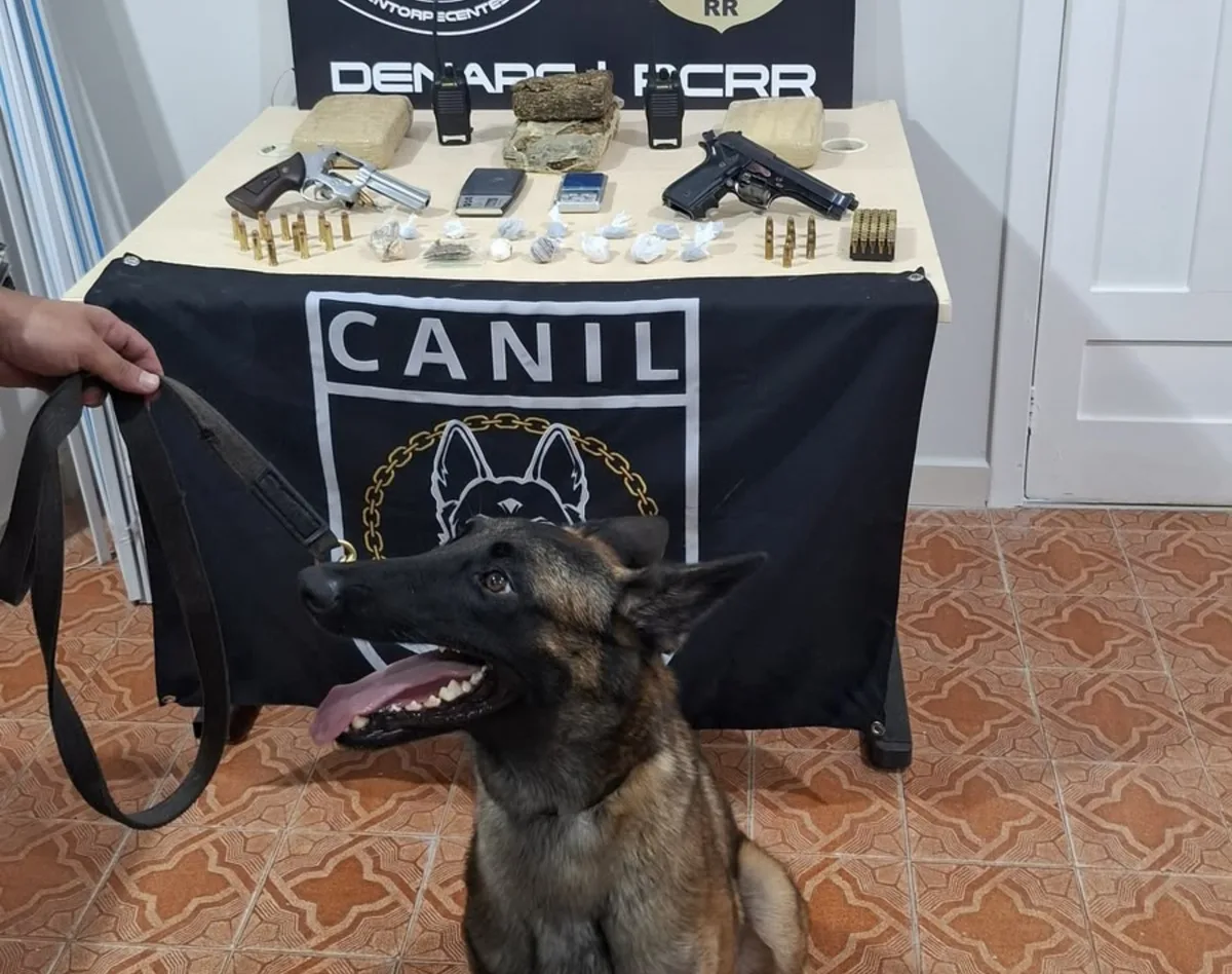 Cadela Fúria encontra drogas durante investigação de combate ao tráfico em Roraima