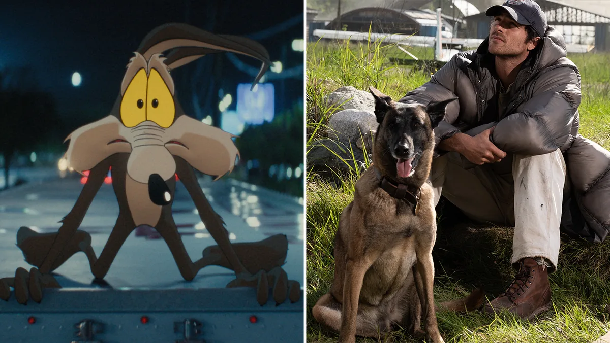 ‘Spider-Man’ Nearing $900M; ‘Coyote Vs. Acme’ Solid $14M Debut & ‘A’ CinemaScore, ‘Dog Stars’ Going To The Dogs – Box Office Update