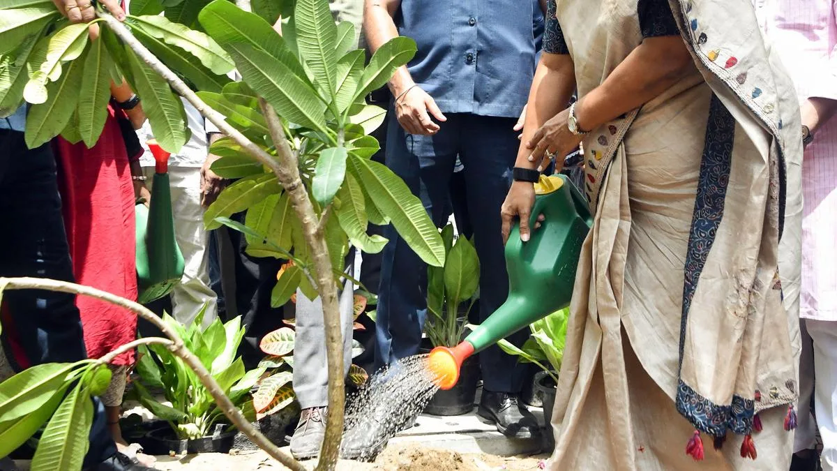 50 lakh saplings planted against 70-lakh target: Delhi government