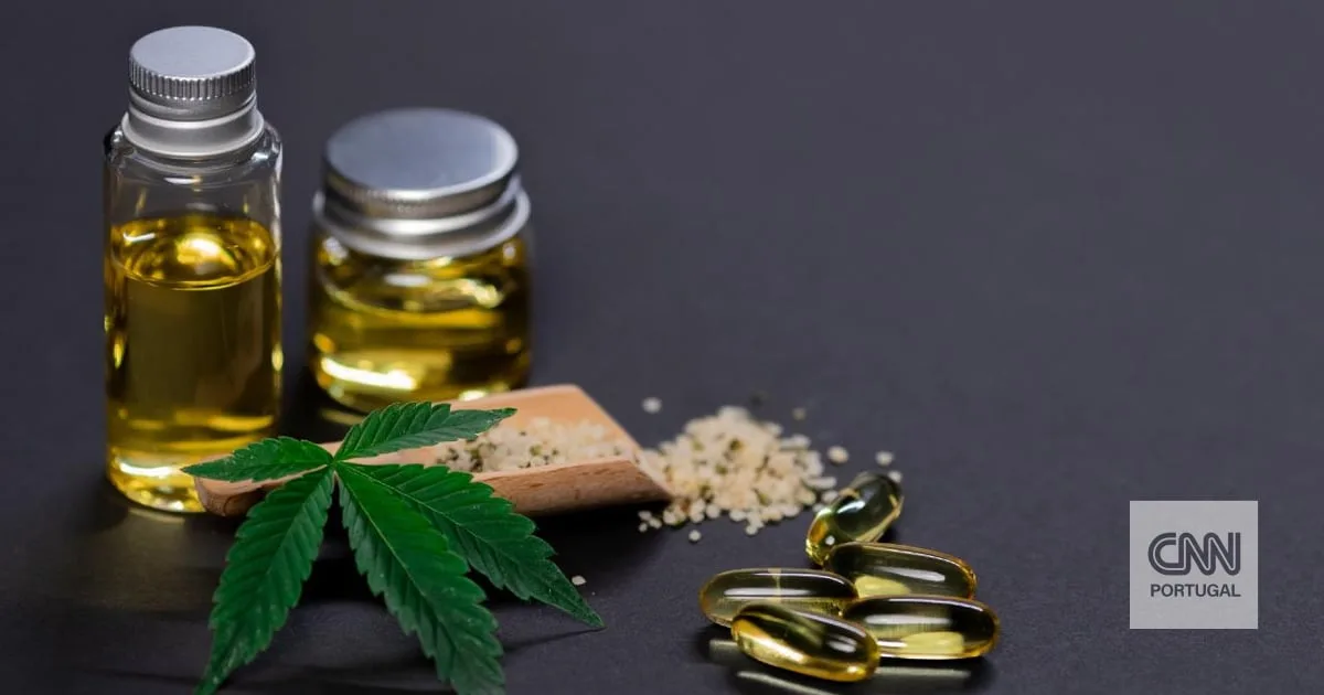 Portugal já exportou mais de 66 toneladas de canábis para fins medicinais este ano