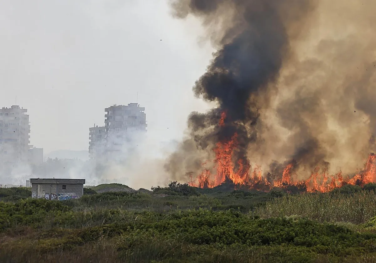 La Guardia Civil descarta causas naturales en el incendio del Saler y apunta que pudo ser intencionado