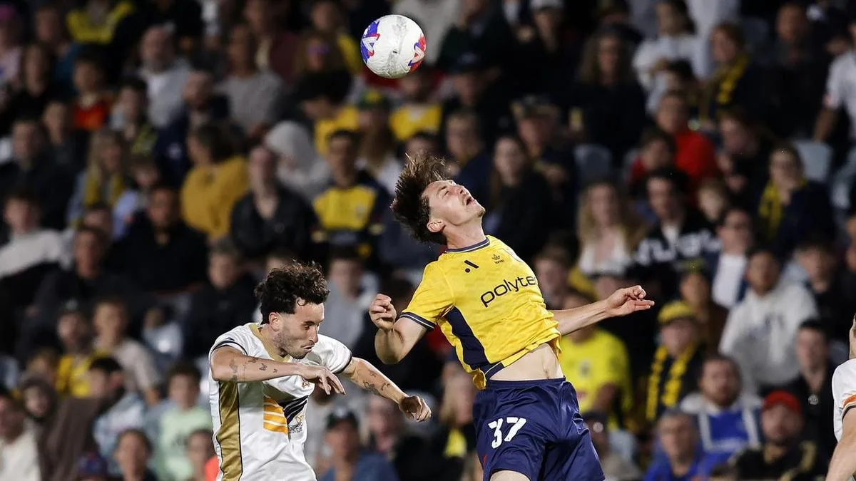 Nothing to lose for 'written off' Mariners, says coach