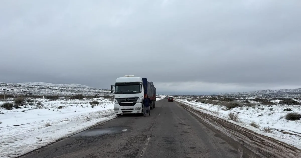 El estado actualizado de las rutas cordilleranas en Neuquén, Río Negro y los pasos a Chile hoy, 21 de agosto