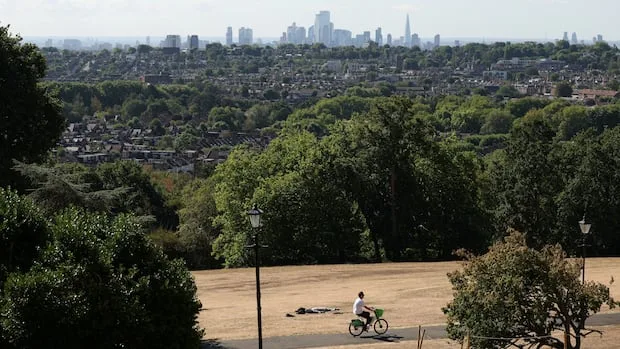London is famous for its great trees. More than 70% are at risk due to climate change, research finds