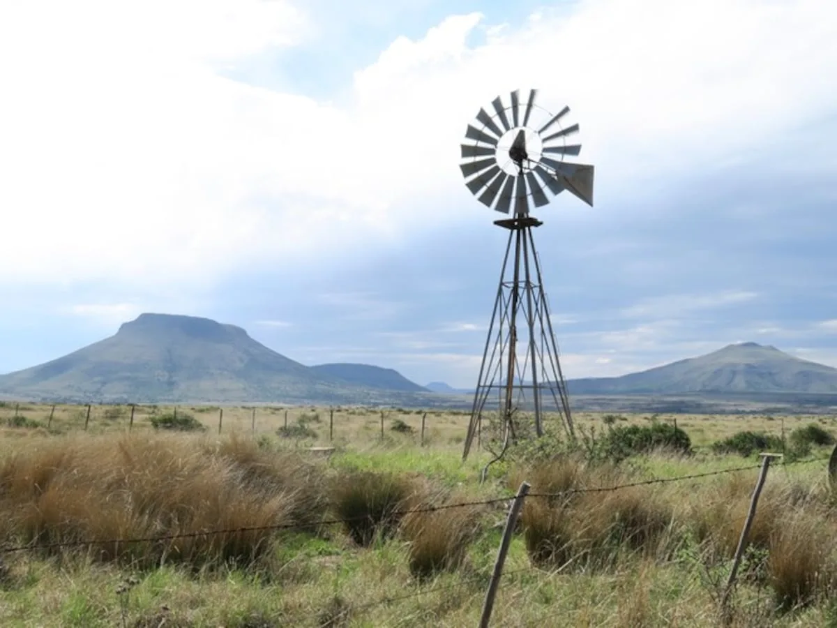 Exceptional El Niño puts southern Africa on drought alert