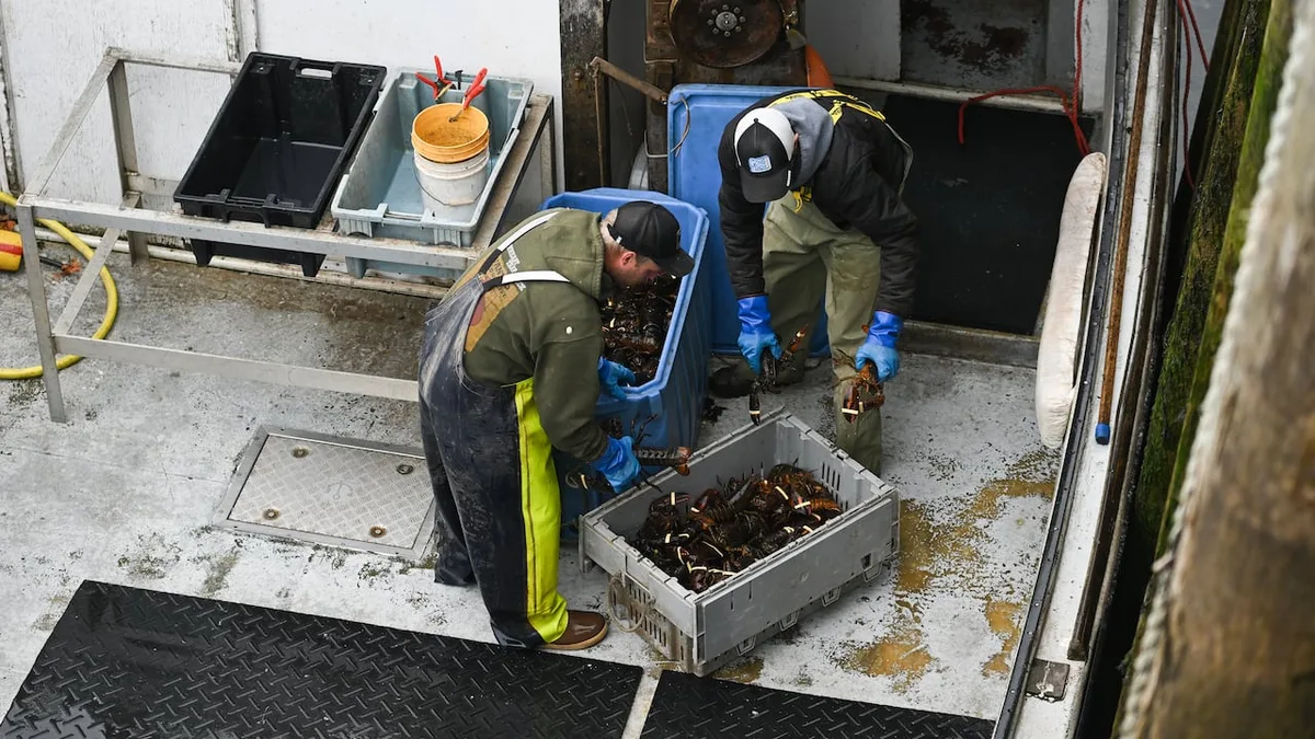 Federal government removes seafood and fish products from counter-tariff list