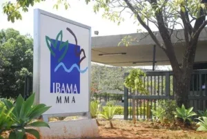 STF mantém reestruturação de cargos do Ibama e do Ministério do Meio Ambiente