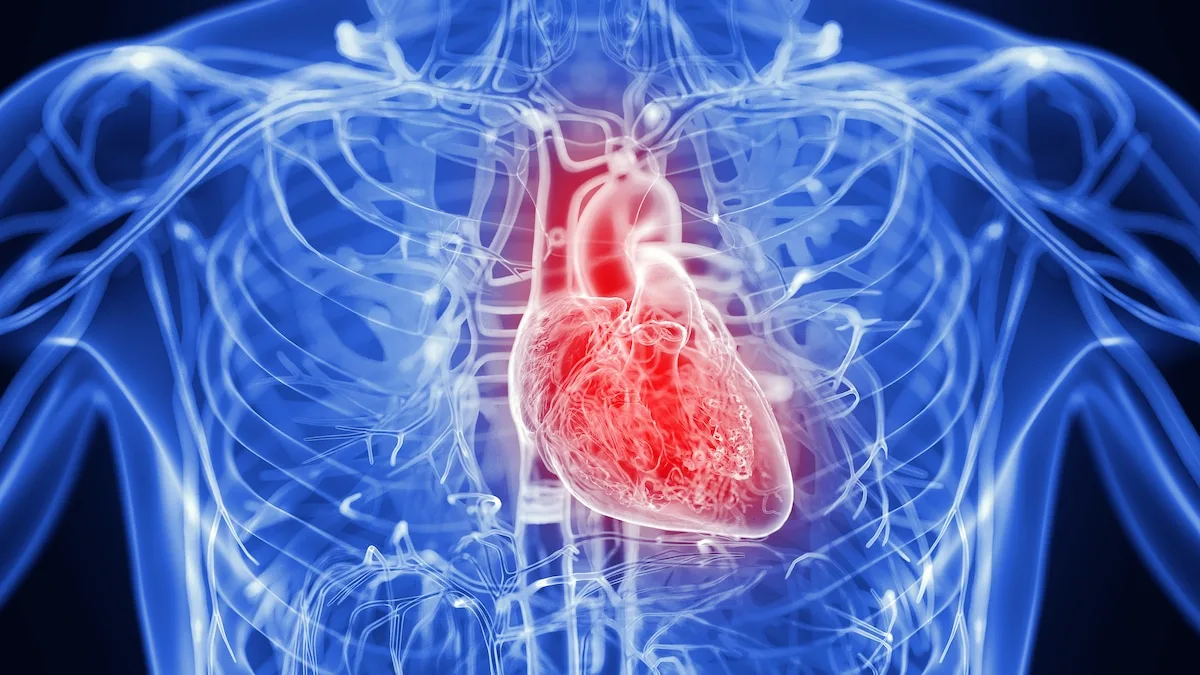 Statine senken Risiko für Herzinfarkt um 30 Prozent