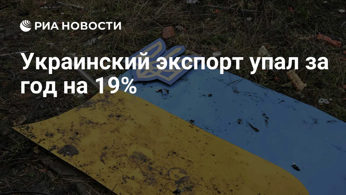 Украинский экспорт упал за год на 19%