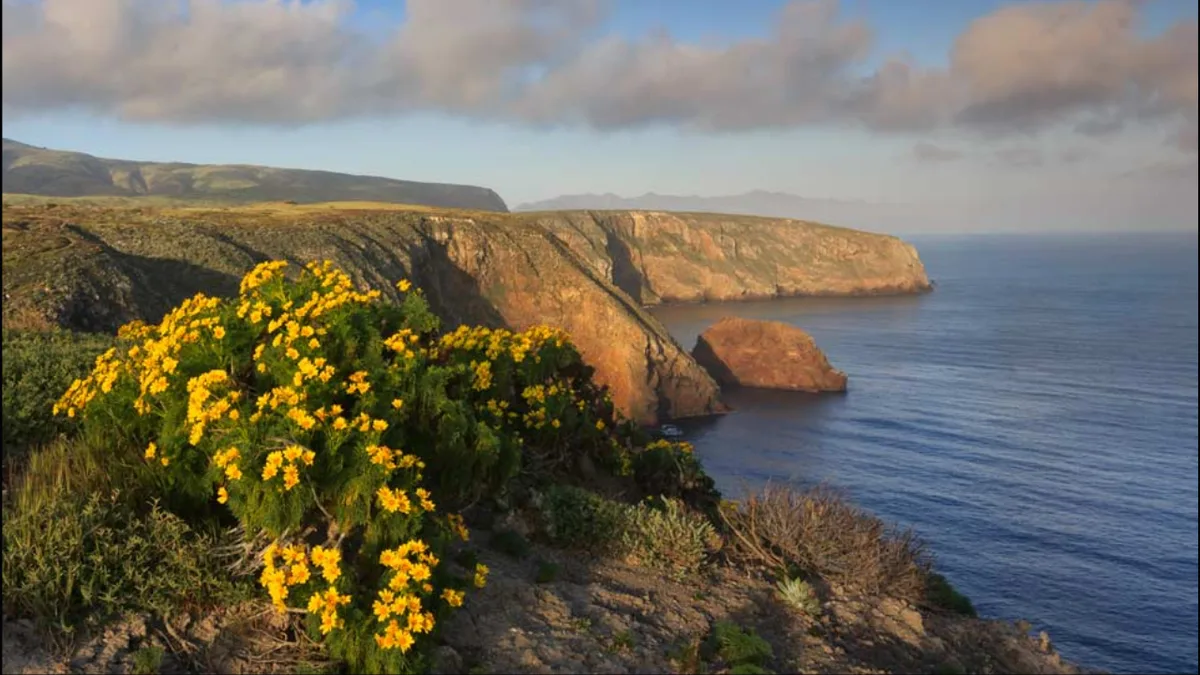 The US offered a California family $4 million for its 6,300-acre island ranch; after they refused...