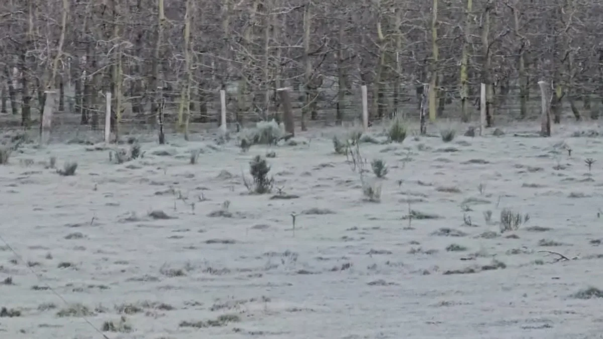 Massa de ar frio congela paisagem em SC e termômetros chegam a -7,7 °C; VÍDEO