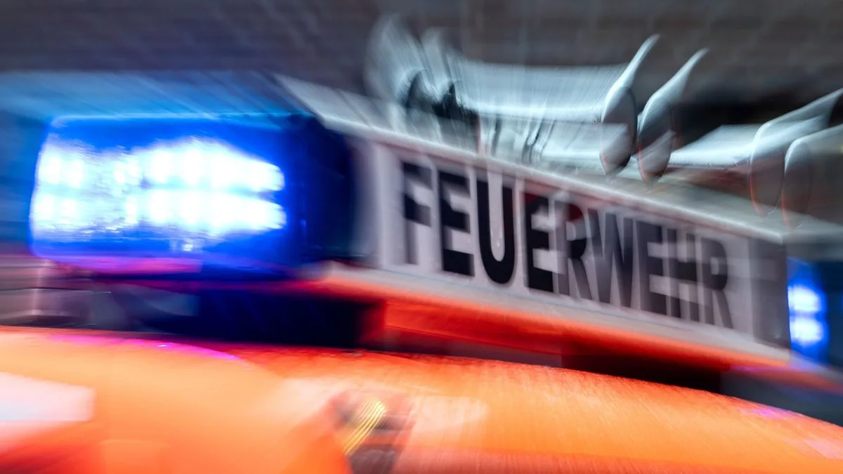 Wetter: Umgestürzte Bäume und abgedeckte Dächer nach Gewittern