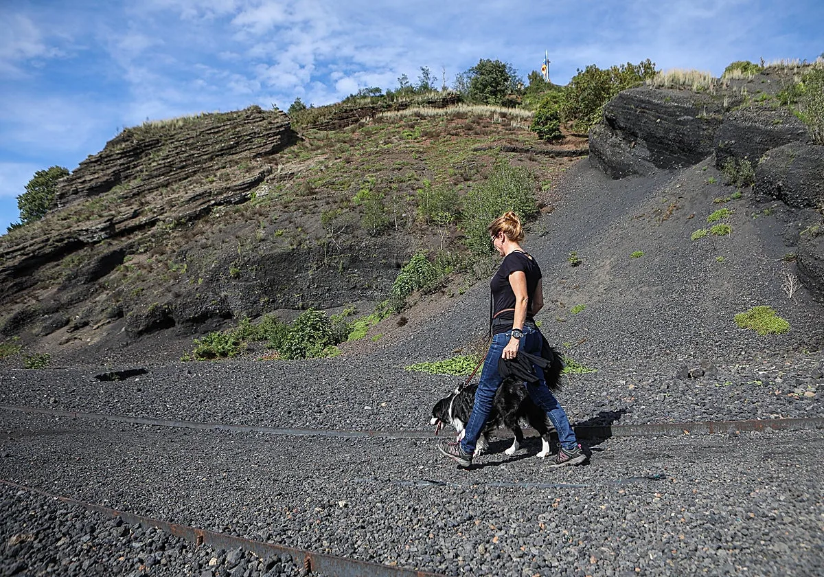 De paseo por el Hayedo de Jordà, un paraíso único en España rodeado de 40 volcanes