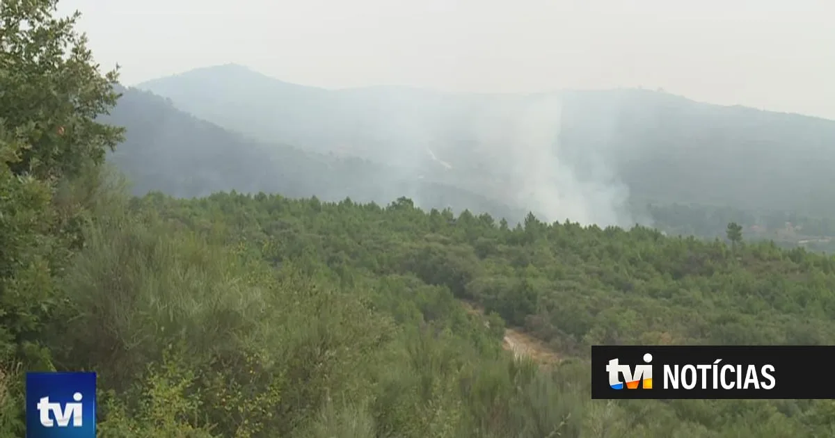 Fogos no norte do país dominados, mas prejuízo é "incalculável". Esta freguesia ficou com 80% do território queimado