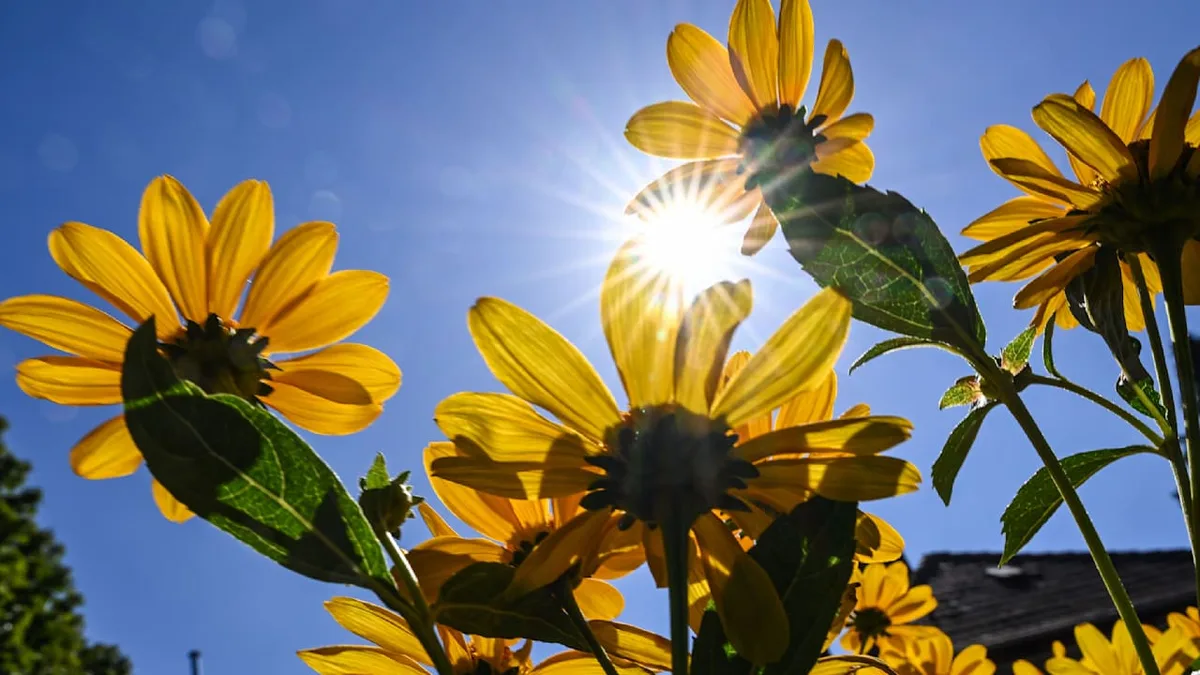 Wo der Sommer zurückkehrt - Jetzt baut sich eine Mini-Hitzewelle auf