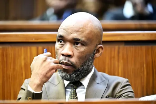 Madlanga Commission to hear Vusimuzi ‘Cat’ Matlala testimony