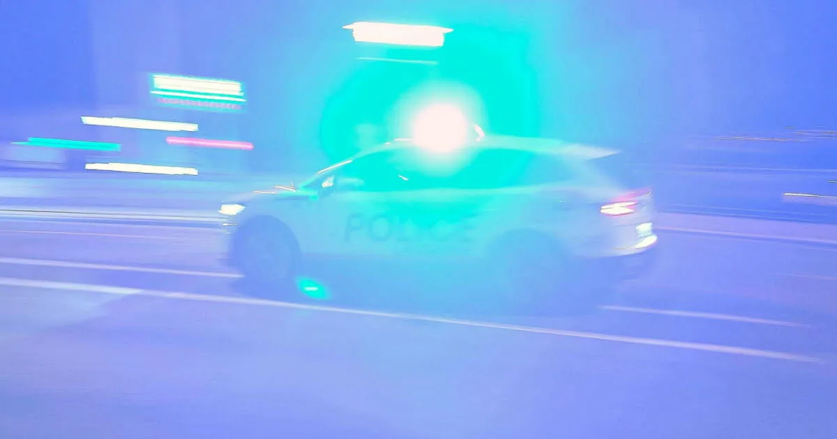 Haut-Rhin. Course-poursuite et voiture volée en Suisse : quatre Français âgés de 19 à 25 ans arrêtés