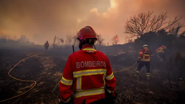 Dez milhões de euros para prejuízos de fogos em Valpaços e Vouzela