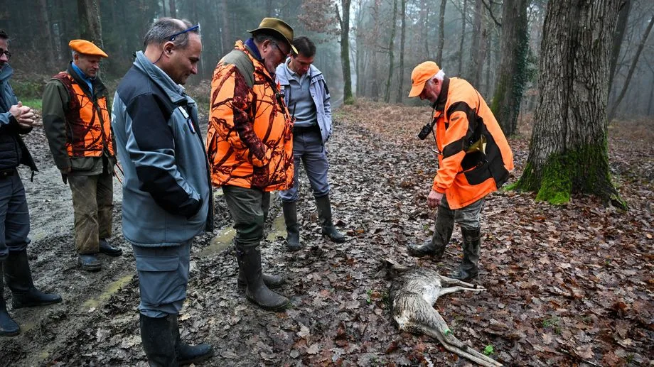 "On ne met absolument pas les espèces en danger", des chasseurs répondent aux associations pour un report de l'ouverture
