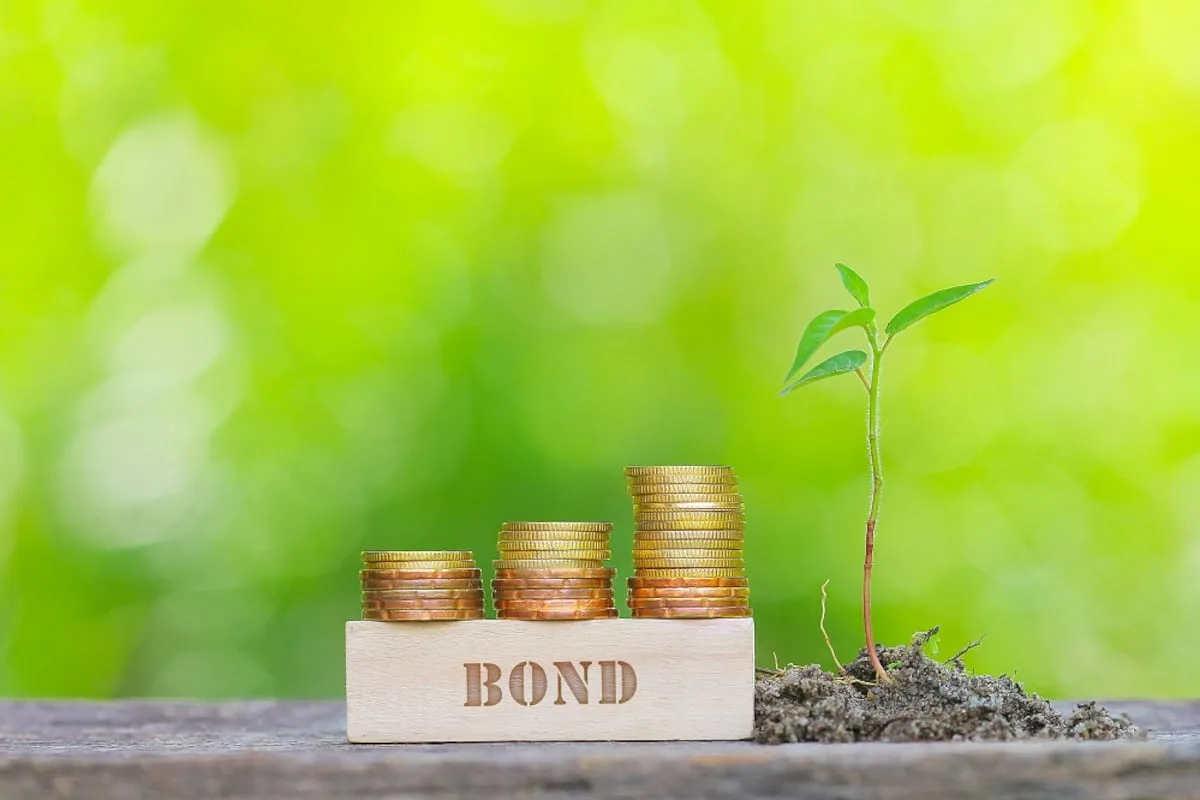NICO MARAIS | When bonds get scary, buyers get paid