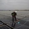 Governo aprova objetivo de 49% de energias renováveis até 2030