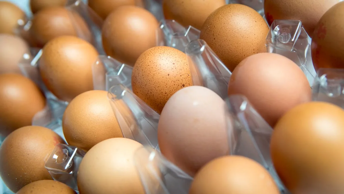 Salmonella outbreak leaves one dead and hundreds ill in UK as London suffers highest number of cases
