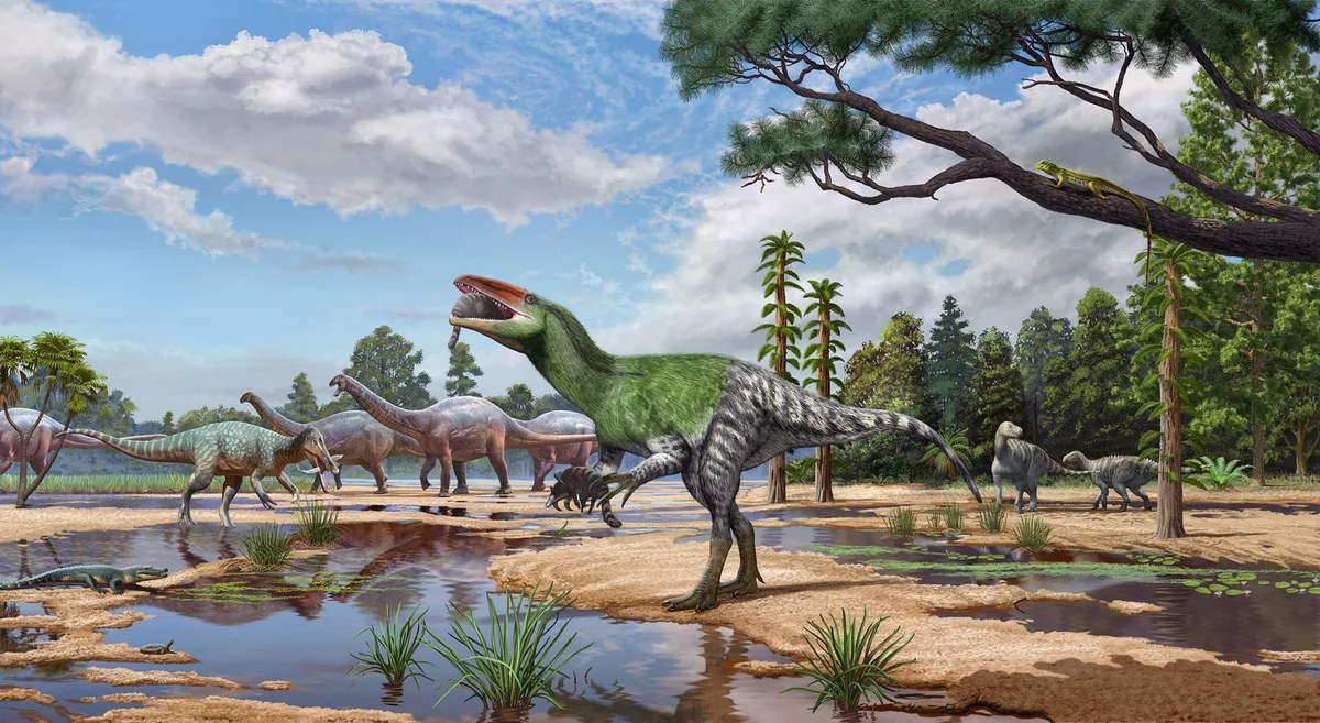 Fóssil de dinossauro que tinha altura de um humano é encontrado em gaveta de museu