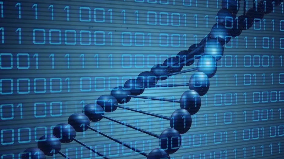 Asteroiden-Proben zeigen: Diese DNA- und Protein-Bausteine gibt es im All