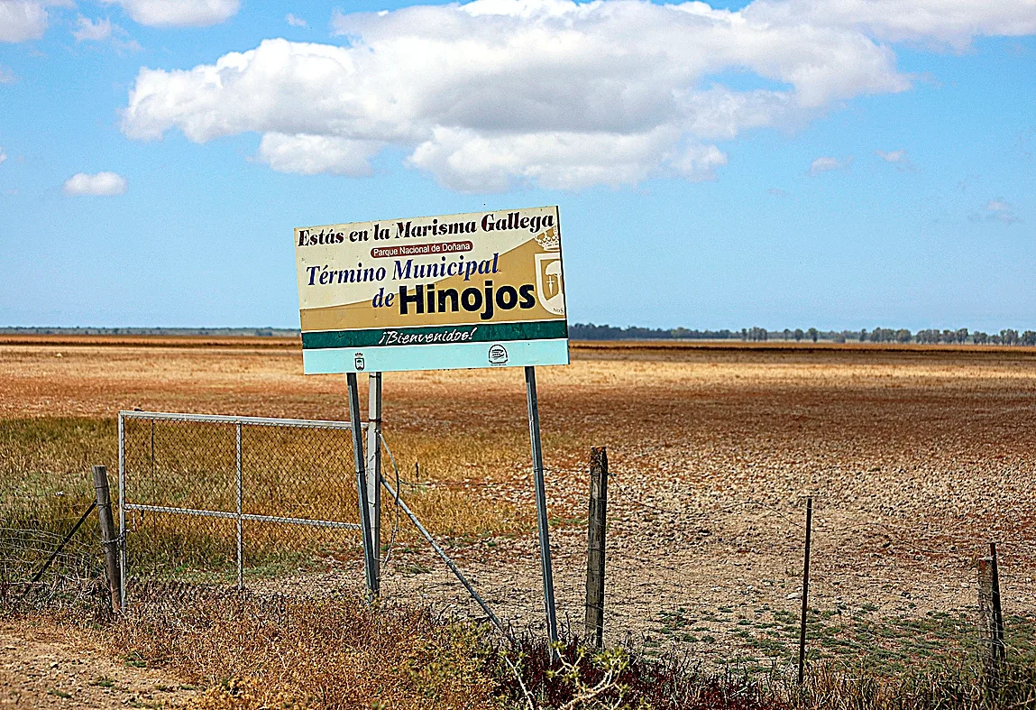 El pueblo que lucha contra el Ministerio para defender la marisma de Doñana