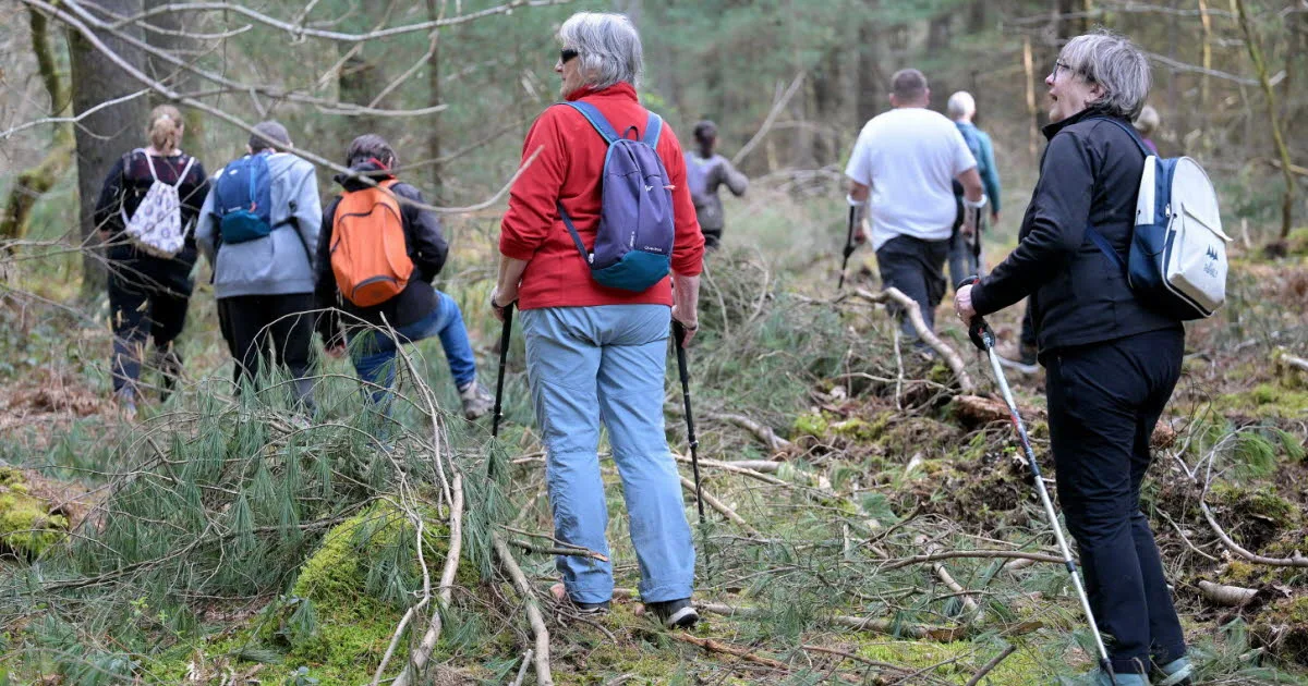 Jura. Septuagénaire disparu à La Pesse : un appel à volontaires pour participer à des battues citoyennes