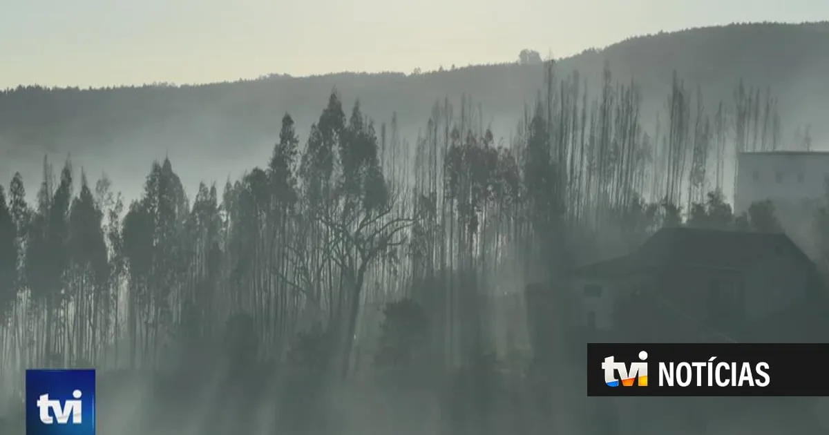 "Ontem só dava para chorar, hoje dá para sorrir". Grande incêndio em Coimbra em fase de rescaldo