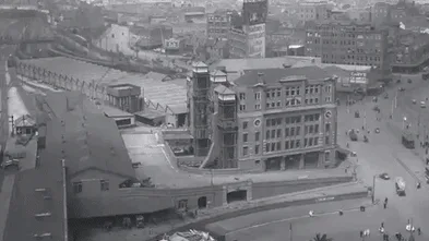 Under the ‘plyscraper’: How a 1906 heritage shed was saved, stored and rebuilt