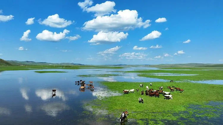 China marks 4th National Ecology Day with focus on green development