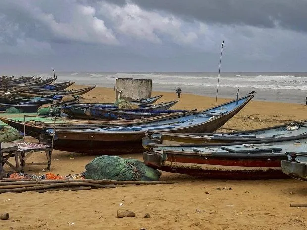 Govt floats experimental method to put rupee value on India's marine fish