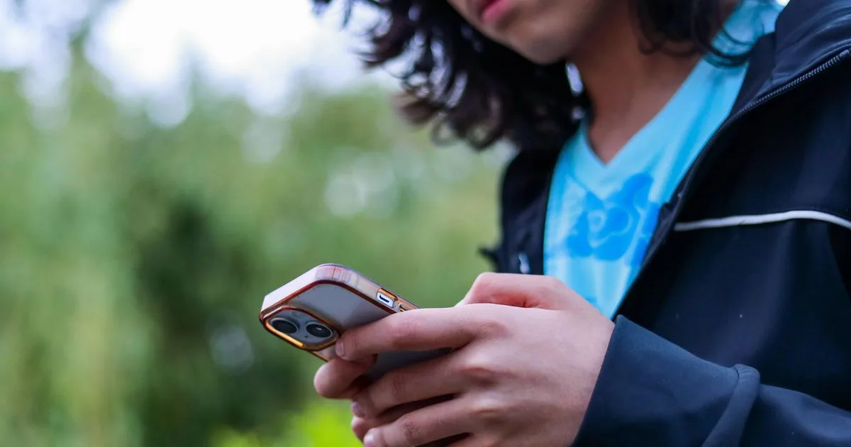 « Une atteinte disproportionnée » : le Conseil constitutionnel censure l’interdiction des réseaux sociaux aux moins de 15 ans