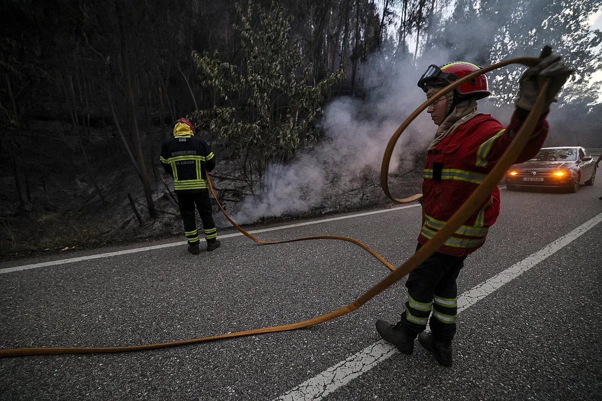 Fogo em mato corta IC1 no concelho de Santiago do Cacém