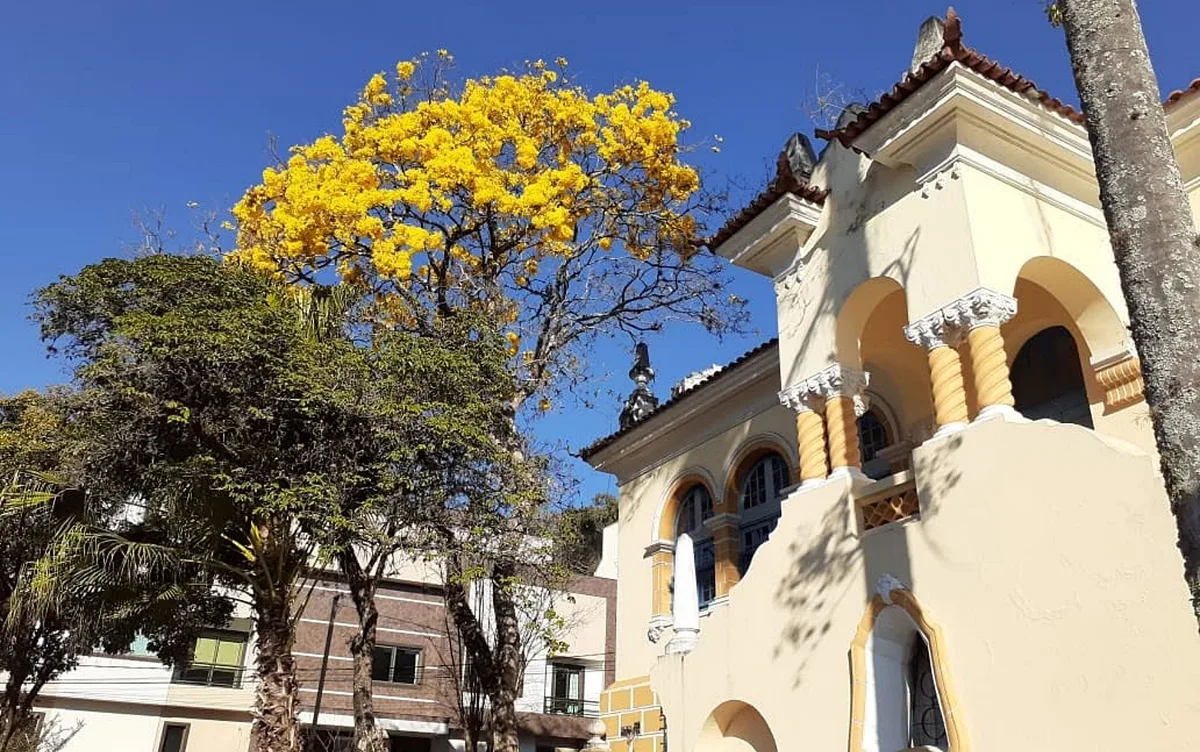 Diretora de escola é investigada por obrigar aluno a beber a própria urina em MG