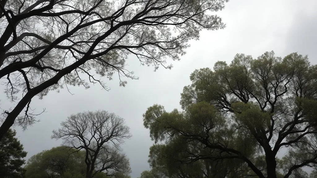 Hay alerta amarilla por viento zonda para este viernes 28 de agosto en La Rioja: las zonas afectadas