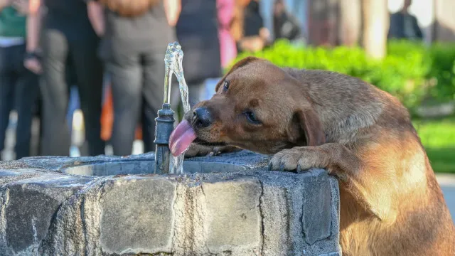 43ºC? Há catorze distritos do continente com aviso amarelo até sábado